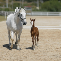 ChatGPT Image 21_02_2026, 16_52_13