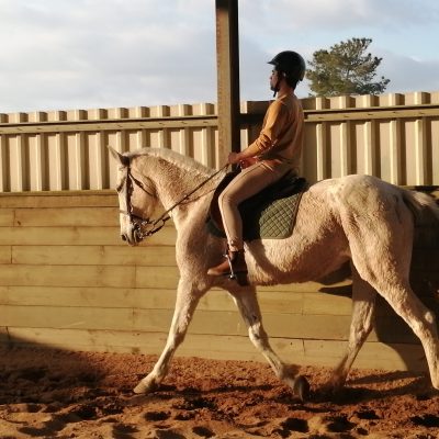 ch-quinta-das-mouras-1