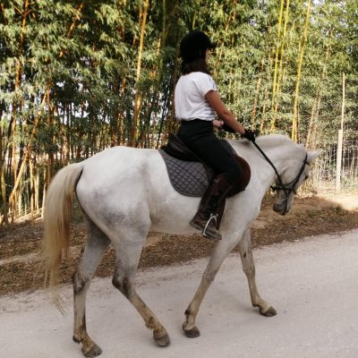 ch-quinta-das-mouras-3